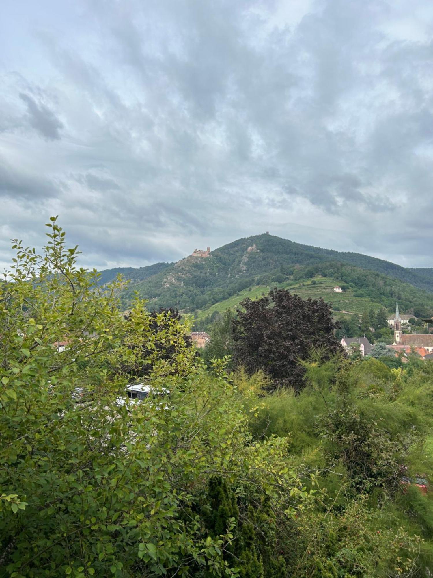 Vue Magnifique Sur Les Chateaux Ribeauvillé Exteriér fotografie